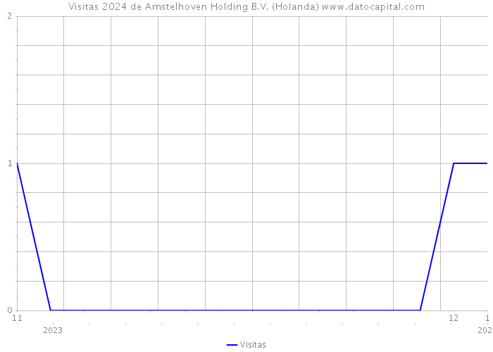 Visitas 2024 de Amstelhoven Holding B.V. (Holanda) 