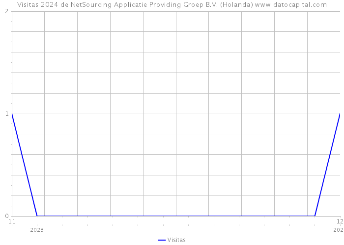 Visitas 2024 de NetSourcing Applicatie Providing Groep B.V. (Holanda) 