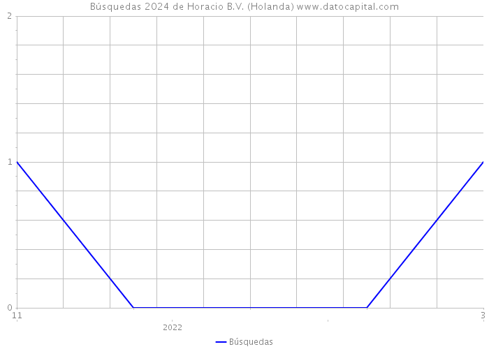 Búsquedas 2024 de Horacio B.V. (Holanda) 