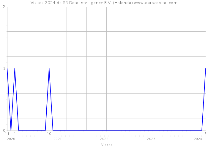 Visitas 2024 de SR Data Intelligence B.V. (Holanda) 