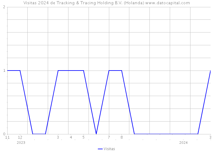 Visitas 2024 de Tracking & Tracing Holding B.V. (Holanda) 