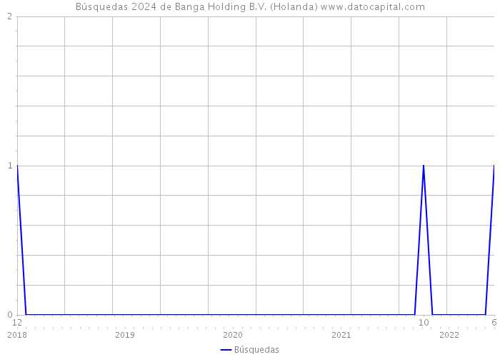 Búsquedas 2024 de Banga Holding B.V. (Holanda) 