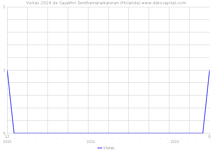 Visitas 2024 de Gayathri Senthamaraikannan (Holanda) 
