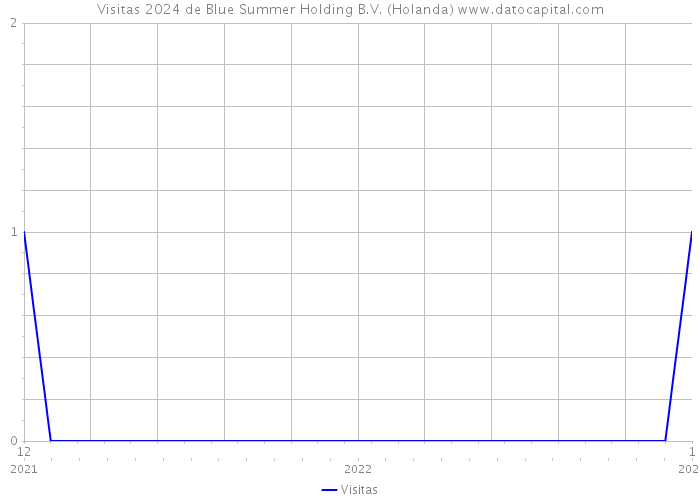Visitas 2024 de Blue Summer Holding B.V. (Holanda) 