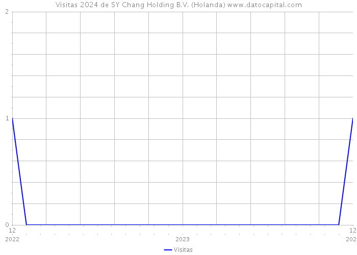 Visitas 2024 de SY Chang Holding B.V. (Holanda) 