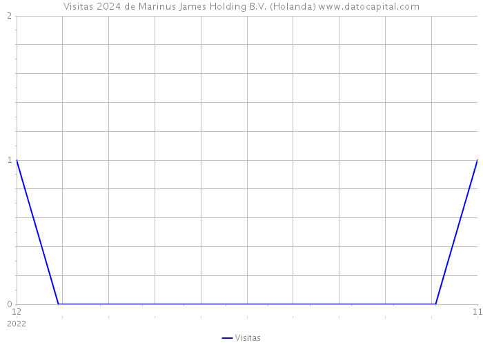 Visitas 2024 de Marinus James Holding B.V. (Holanda) 