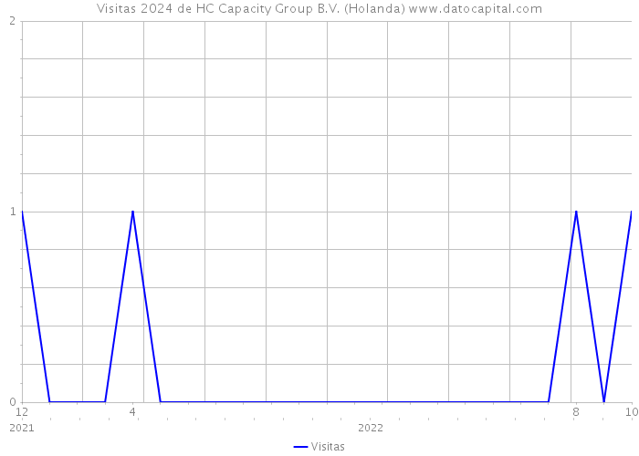 Visitas 2024 de HC Capacity Group B.V. (Holanda) 