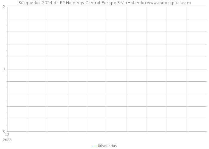 Búsquedas 2024 de BP Holdings Central Europe B.V. (Holanda) 