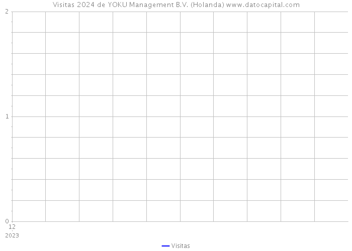 Visitas 2024 de YOKU Management B.V. (Holanda) 
