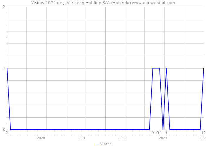 Visitas 2024 de J. Versteeg Holding B.V. (Holanda) 