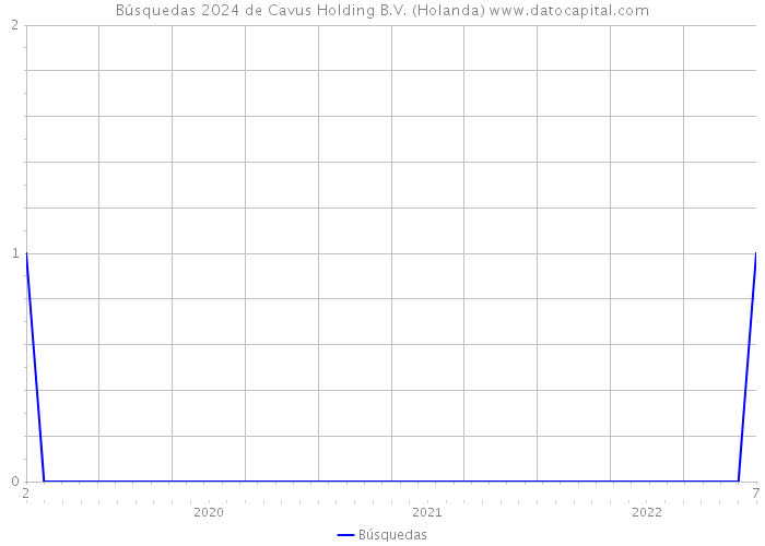 Búsquedas 2024 de Cavus Holding B.V. (Holanda) 