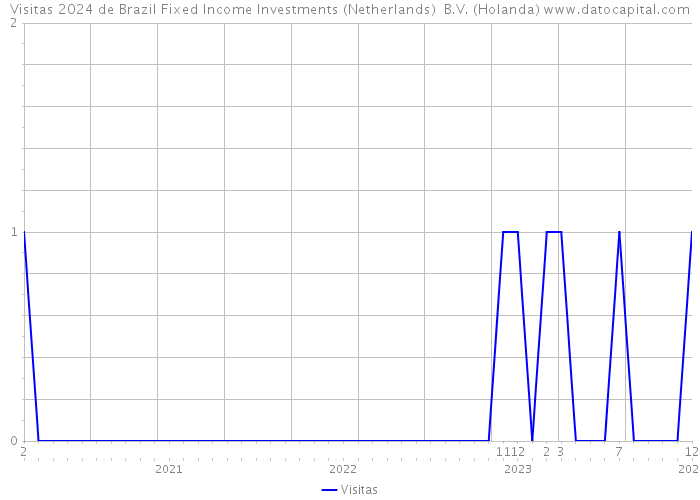 Visitas 2024 de Brazil Fixed Income Investments (Netherlands) B.V. (Holanda) 