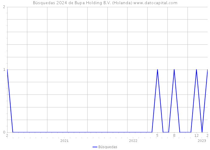 Búsquedas 2024 de Bupa Holding B.V. (Holanda) 