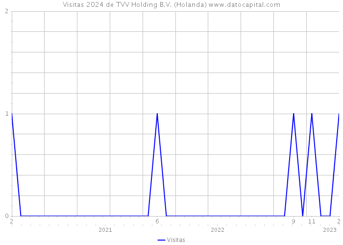 Visitas 2024 de TVV Holding B.V. (Holanda) 