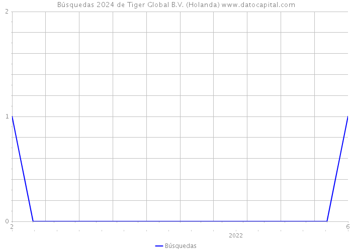Búsquedas 2024 de Tiger Global B.V. (Holanda) 