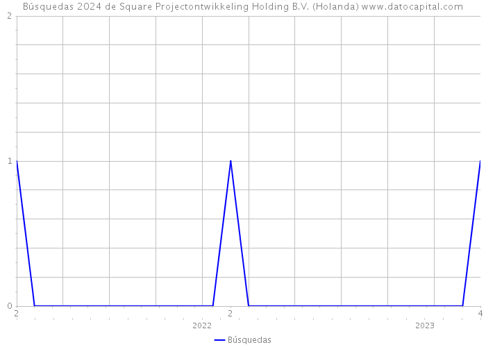 Búsquedas 2024 de Square Projectontwikkeling Holding B.V. (Holanda) 