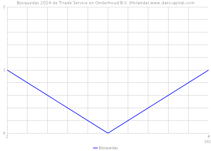 Búsquedas 2024 de Triade Service en Onderhoud B.V. (Holanda) 