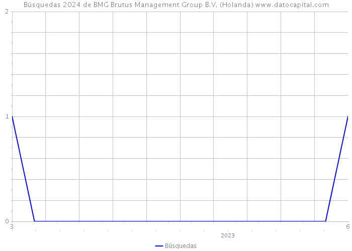 Búsquedas 2024 de BMG Brutus Management Group B.V. (Holanda) 
