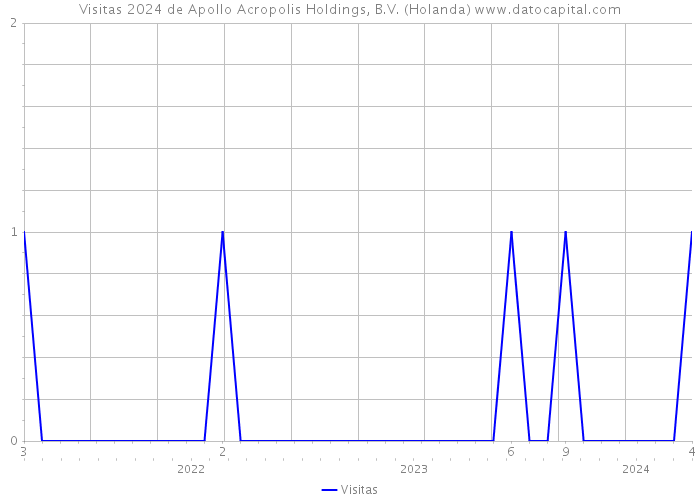 Visitas 2024 de Apollo Acropolis Holdings, B.V. (Holanda) 