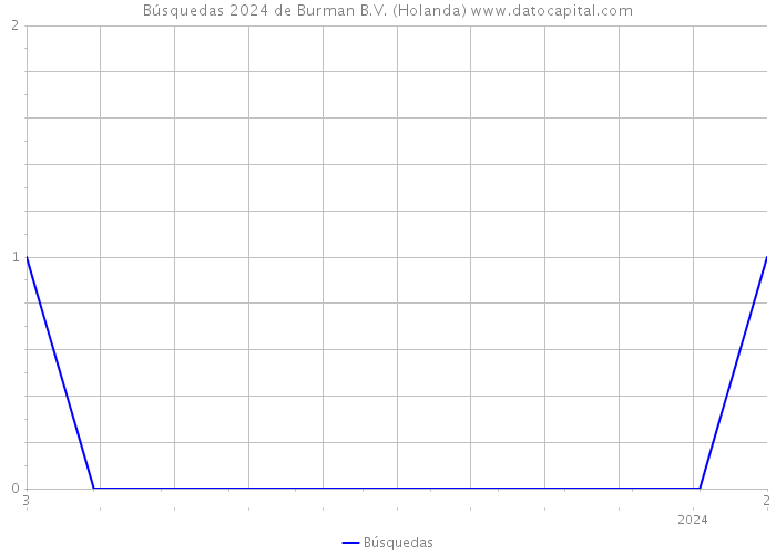 Búsquedas 2024 de Burman B.V. (Holanda) 