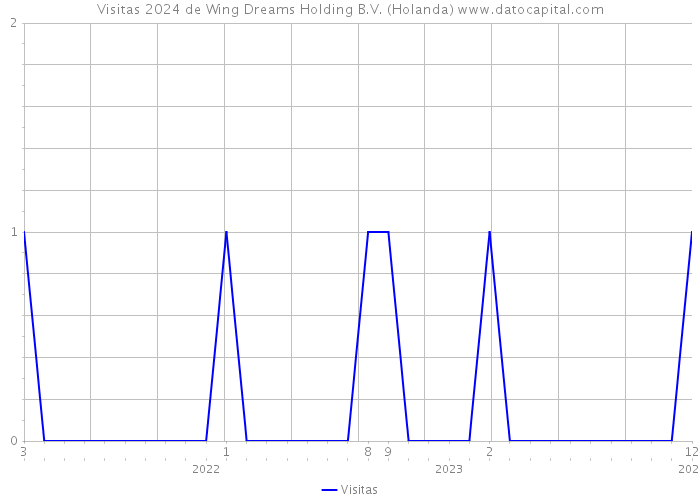 Visitas 2024 de Wing Dreams Holding B.V. (Holanda) 