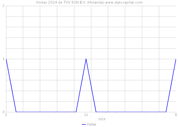 Visitas 2024 de TVV SON B.V. (Holanda) 