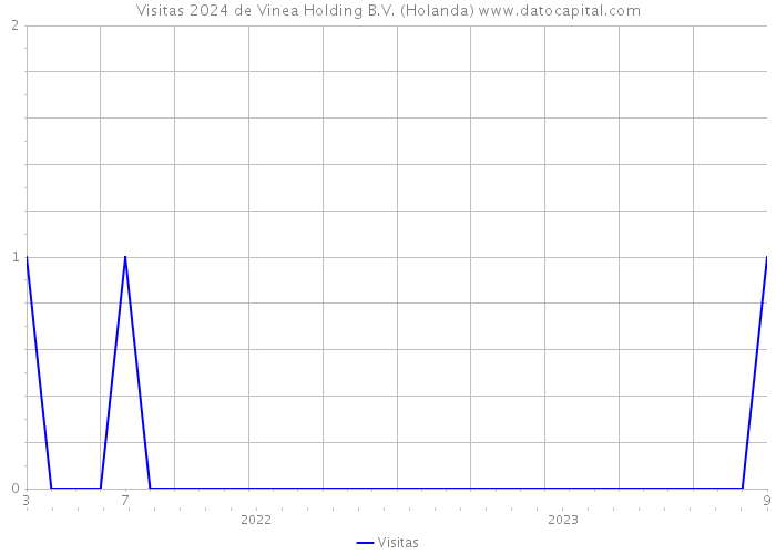 Visitas 2024 de Vinea Holding B.V. (Holanda) 
