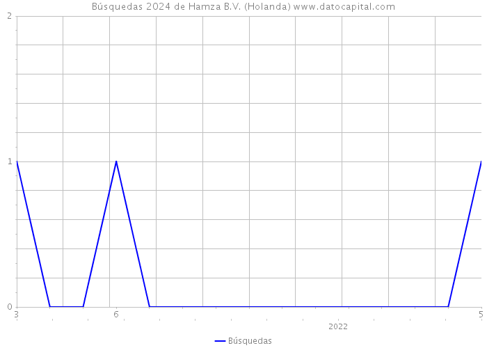 Búsquedas 2024 de Hamza B.V. (Holanda) 
