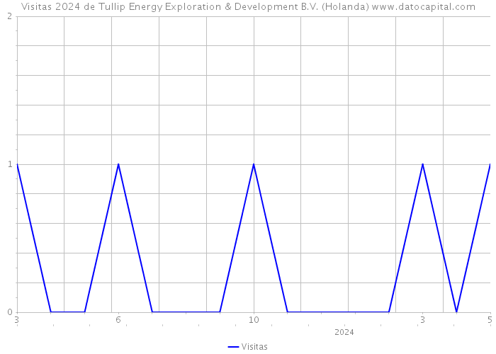 Visitas 2024 de Tullip Energy Exploration & Development B.V. (Holanda) 