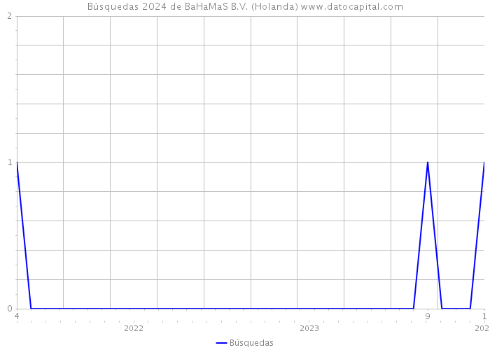 Búsquedas 2024 de BaHaMaS B.V. (Holanda) 