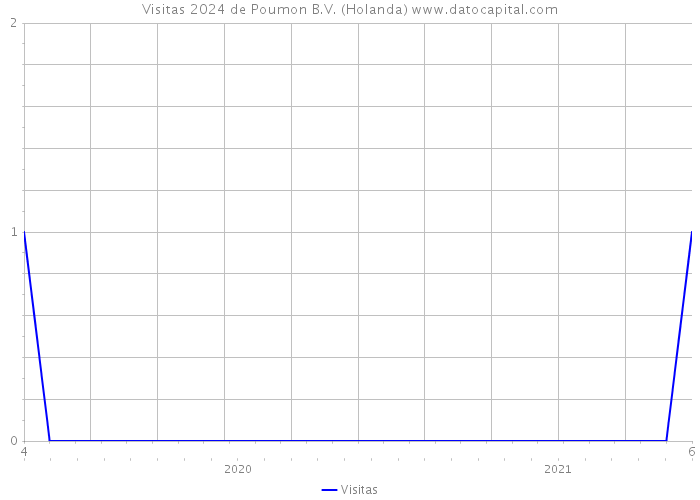 Visitas 2024 de Poumon B.V. (Holanda) 