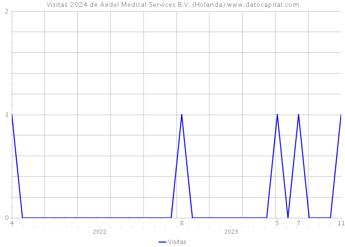 Visitas 2024 de Aedel Medical Services B.V. (Holanda) 