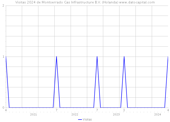 Visitas 2024 de Montserrado Gas Infrastructure B.V. (Holanda) 