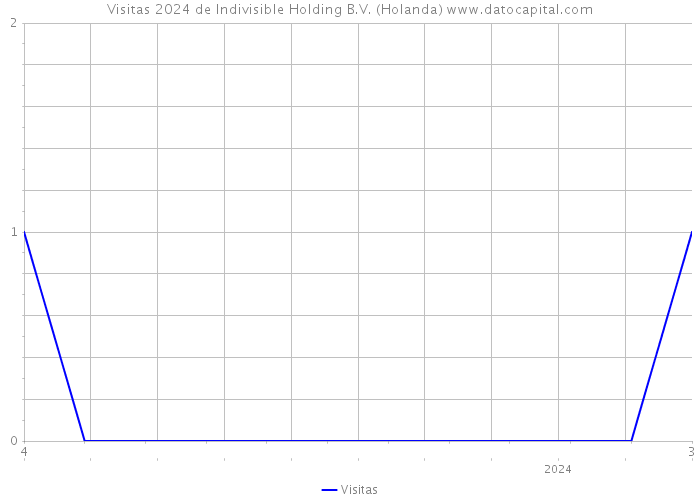 Visitas 2024 de Indivisible Holding B.V. (Holanda) 