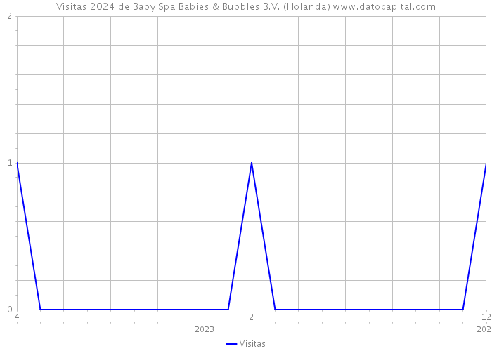 Visitas 2024 de Baby Spa Babies & Bubbles B.V. (Holanda) 