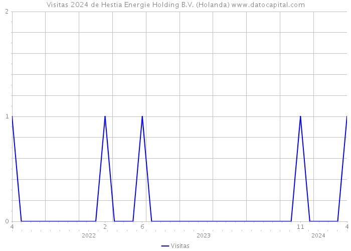 Visitas 2024 de Hestia Energie Holding B.V. (Holanda) 