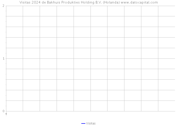 Visitas 2024 de Bakhuis Produkties Holding B.V. (Holanda) 