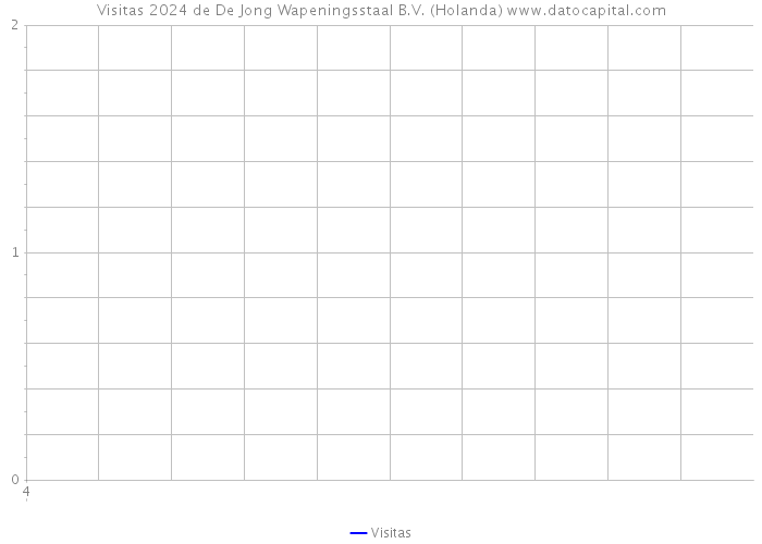 Visitas 2024 de De Jong Wapeningsstaal B.V. (Holanda) 