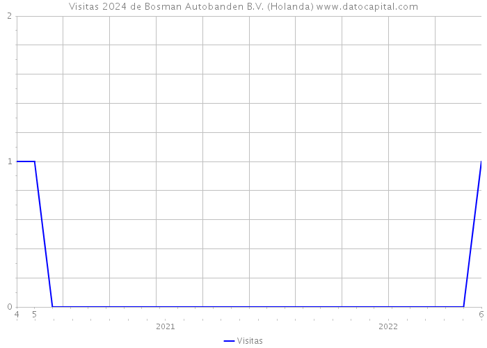 Visitas 2024 de Bosman Autobanden B.V. (Holanda) 