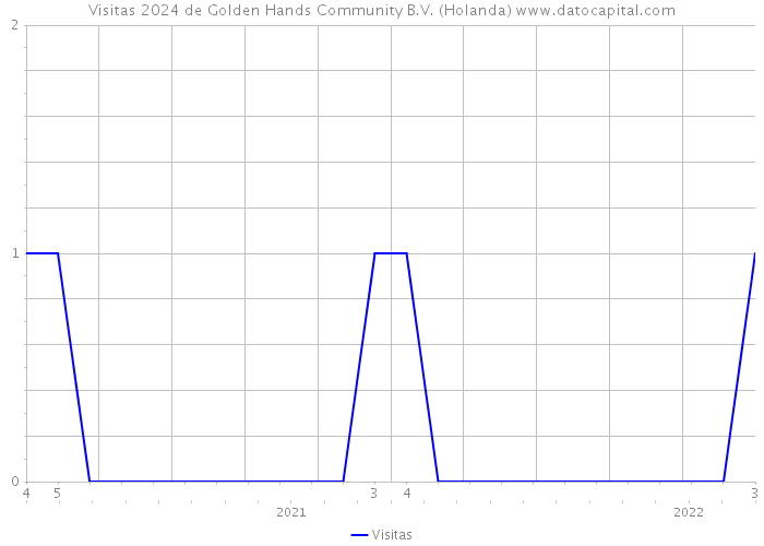 Visitas 2024 de Golden Hands Community B.V. (Holanda) 