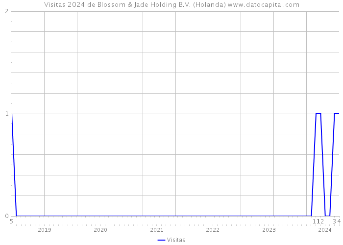Visitas 2024 de Blossom & Jade Holding B.V. (Holanda) 