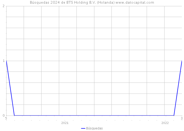 Búsquedas 2024 de BTS Holding B.V. (Holanda) 
