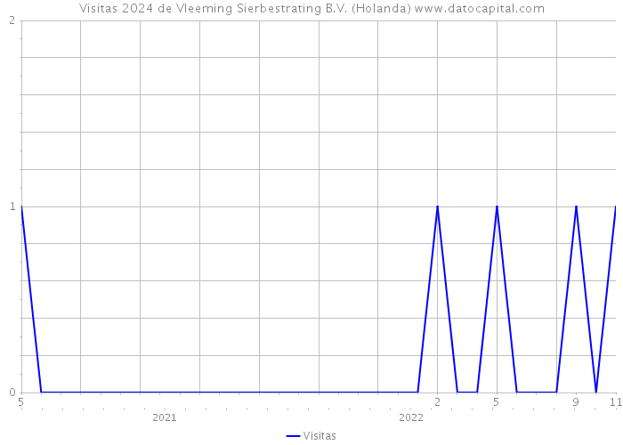 Visitas 2024 de Vleeming Sierbestrating B.V. (Holanda) 