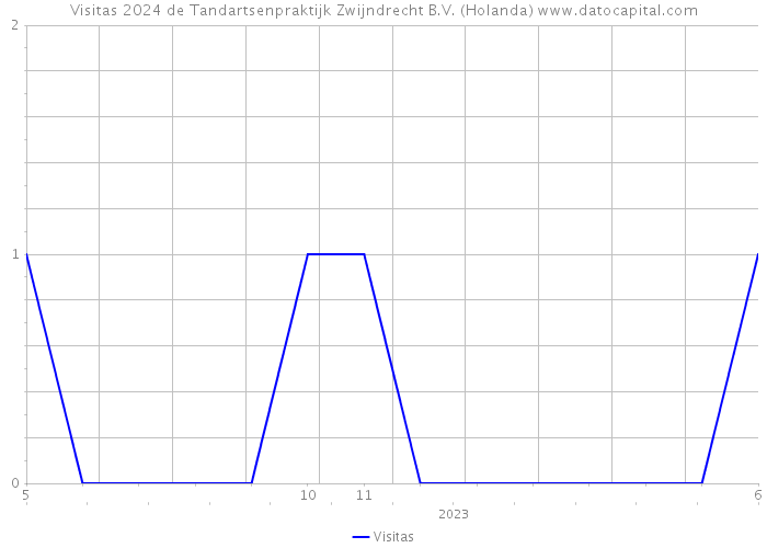 Visitas 2024 de Tandartsenpraktijk Zwijndrecht B.V. (Holanda) 