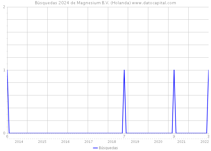 Búsquedas 2024 de Magnesium B.V. (Holanda) 
