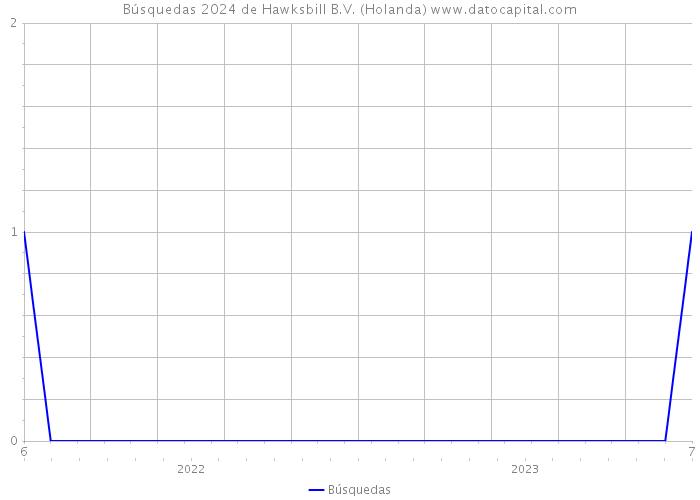 Búsquedas 2024 de Hawksbill B.V. (Holanda) 
