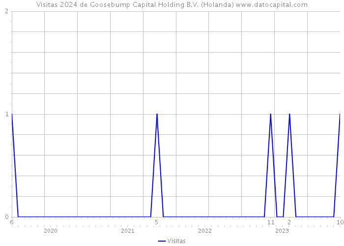 Visitas 2024 de Goosebump Capital Holding B.V. (Holanda) 