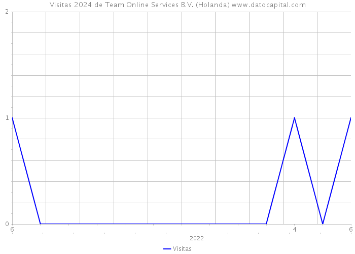 Visitas 2024 de Team Online Services B.V. (Holanda) 
