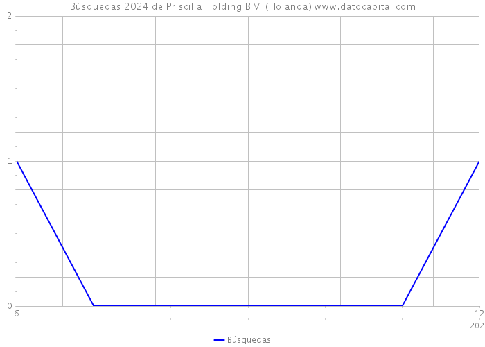 Búsquedas 2024 de Priscilla Holding B.V. (Holanda) 