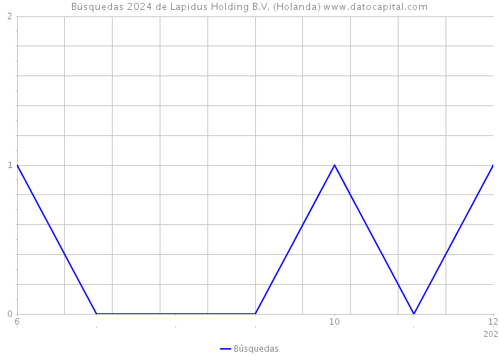 Búsquedas 2024 de Lapidus Holding B.V. (Holanda) 
